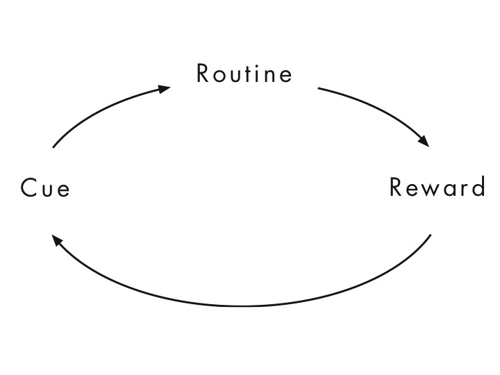 The habit loop