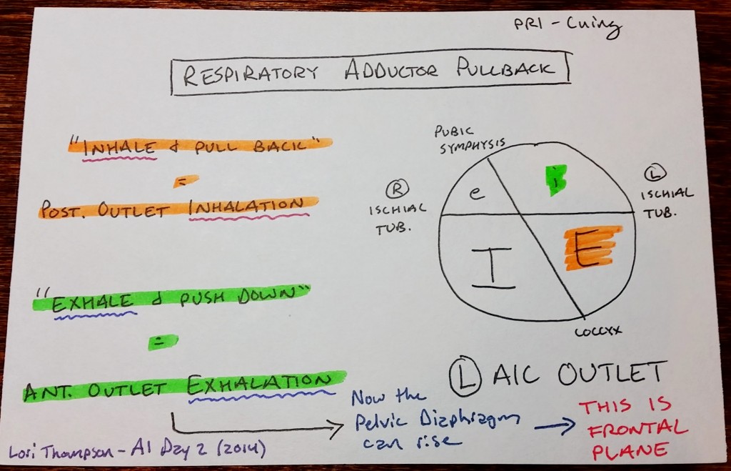 respiratory adductor pullback