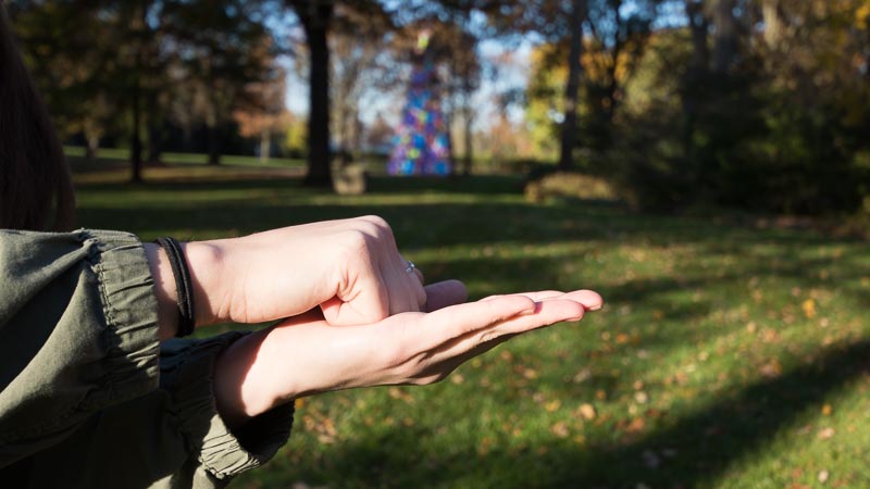 Fist in palm