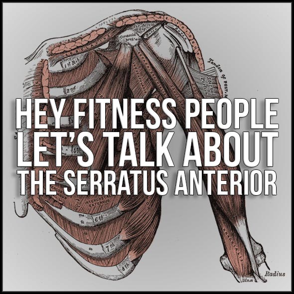 Hey Fitness People, Let's Talk About the Serratus Anterior