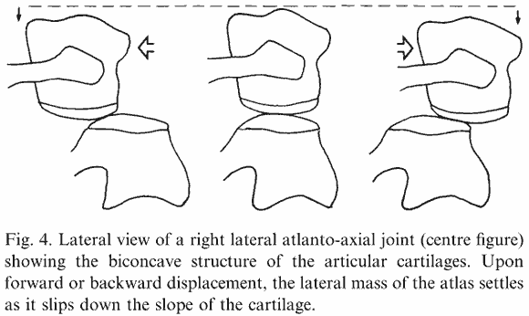 From Bogduk and Mercer, 2000