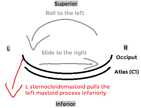 OA left lateral flexion