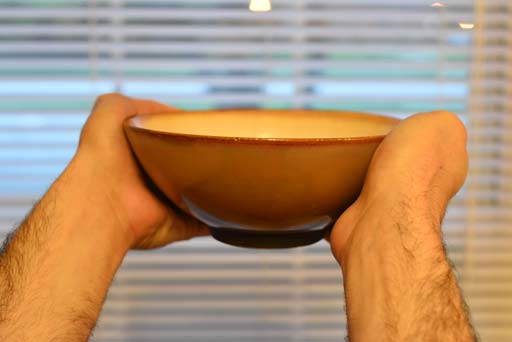 Two hands holding a bowl