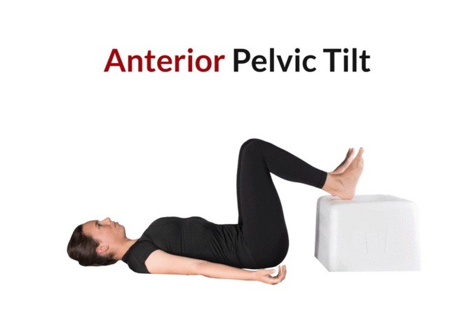 A moving picture showing the anterior pelvic tilt, neutral pelvic tilt, and posterior pelvic tilt positions in a woman lying supine with feet propped up in a 90-90 position