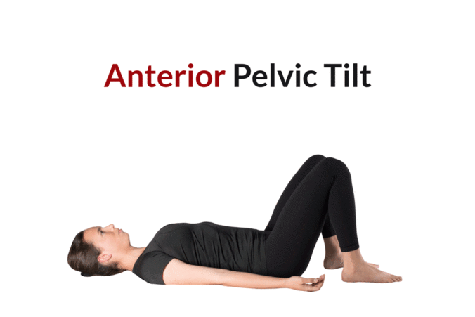 A moving picture showing the anterior pelvic tilt, neutral pelvic tilt, and posterior pelvic tilt positions in a woman lying supine hooklying
