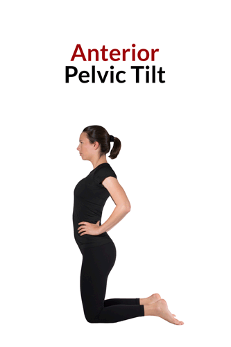 A moving picture showing the anterior, neutral, and posterior pelvic tilt positions in a woman tall kneeling