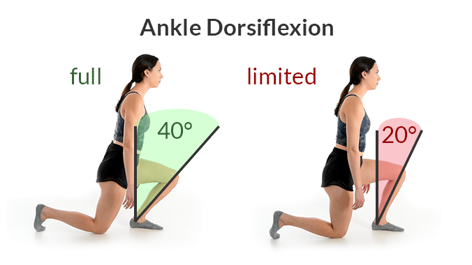 Full 40 degrees of ankle dorsiflexion in half kneeling vs limited 20 degrees