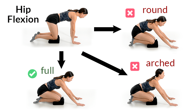Quadruped rockback test for hip mobility showing full range of motion, rounded back compensation, and arched back compensation