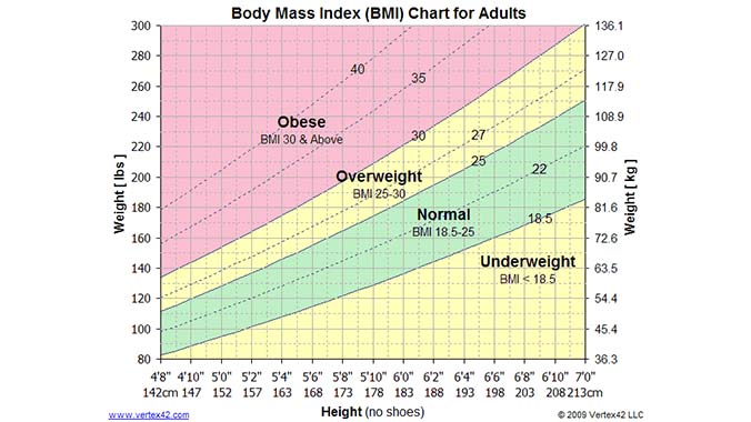 Chart graphing the height and weight and showing the calculated Body Mass Index