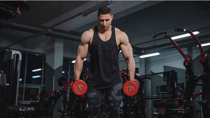 Face on photo of a vascular man curling red dumbbells weighing 10 pounds each