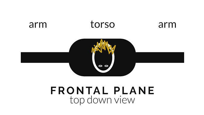 Top-down view of the top position in a lateral raise performed in the frontal plane showing the arms inline with the torso