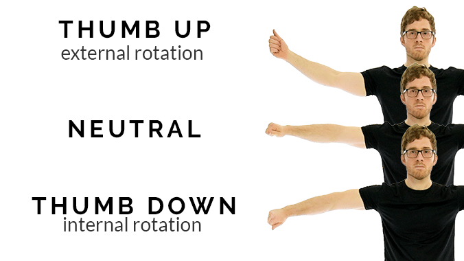Close up of three different hand orientations: thumb down, palm down, and thumb up
